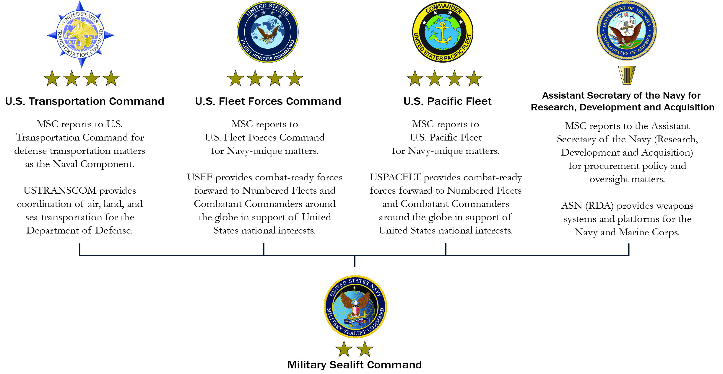 MSC Chain of Command MSC Chain of Command